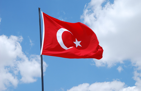 büyük boy türk bayragı